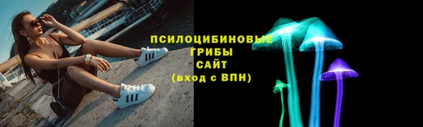 СК Дмитров