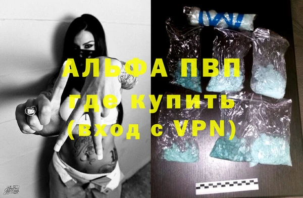 СК Дмитров